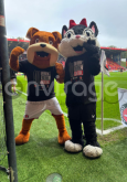 Football Mascots