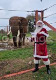 Santa Zoo