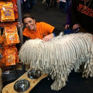 hire promo staff for crufts at Birmingham